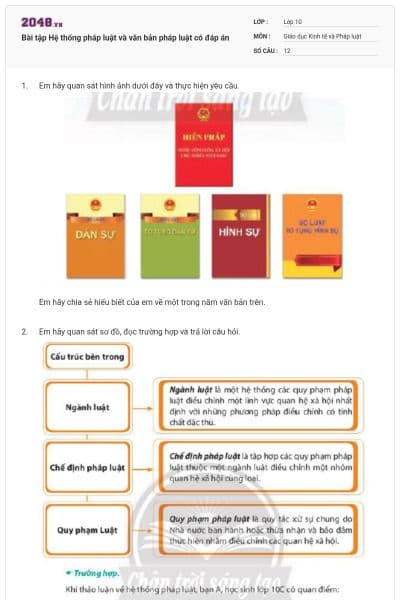 Bài tập Hệ thống pháp luật và văn bản pháp luật có đáp án