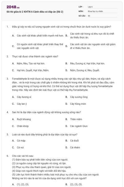 Đề thi giữa kì 2 KHTN 6 Cánh diều có đáp án (Đề 2)