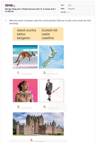 Bài tập Tiếng anh 7 Global Success Unit 12. A closer look 1 có đáp án