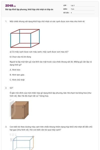 Bài tập Khối lập phương, khối hộp chữ nhật có đáp án