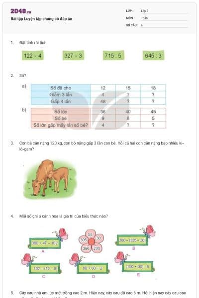 Bài tập Luyện tập chung có đáp án