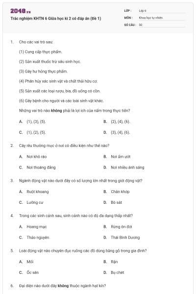 Trắc nghiệm KHTN 6 Giữa học kì 2 có đáp án (Đề 1)
