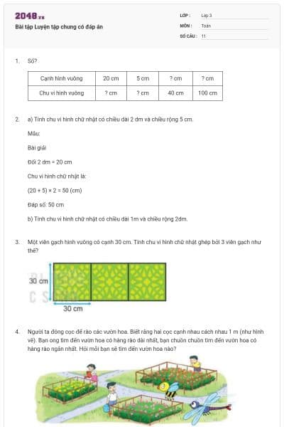 Bài tập Luyện tập chung có đáp án