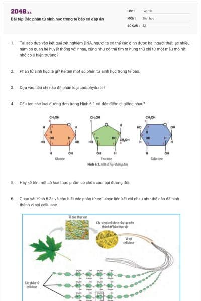 Bài tập Các phân tử sinh học trong tế bào có đáp án