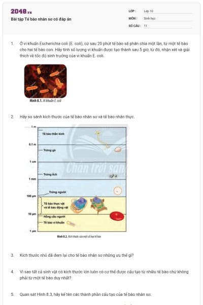 Bài tập Tế bào nhân sơ có đáp án