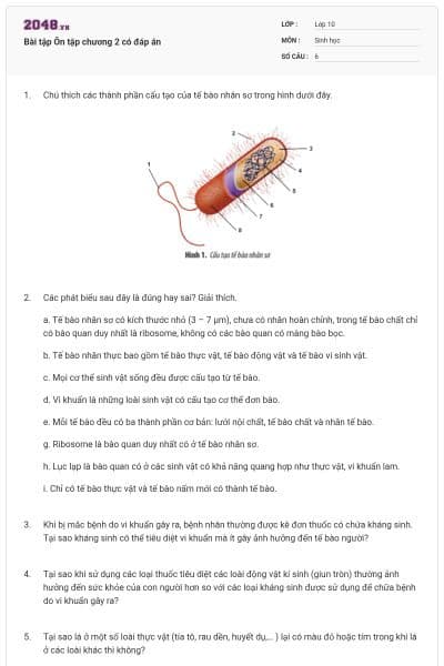 Bài tập Ôn tập chương 2 có đáp án