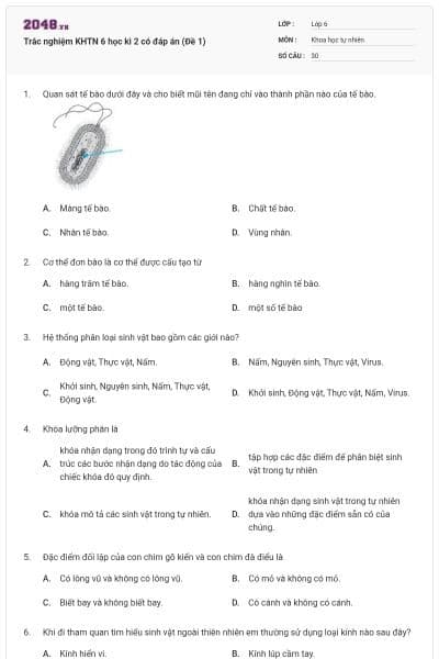 Trắc nghiệm KHTN 6 học kì 2 có đáp án (Đề 1)