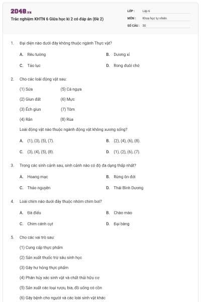 Trắc nghiệm KHTN 6 Giữa học kì 2 có đáp án (Đề 2)