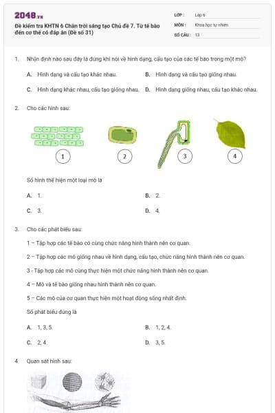 Đề kiểm tra KHTN 6 Chân trời sáng tạo Chủ đề 7. Từ tế bào đến cơ thể có đáp án (Đề số 31)