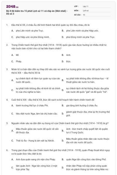 Bộ 8 Đề kiểm tra 15 phút Lịch sử 11 có đáp án (Mới nhất) - Đề số 3