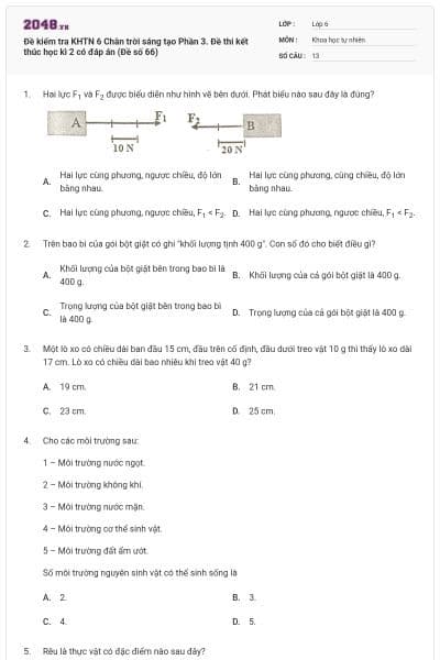Đề kiểm tra KHTN 6 Chân trời sáng tạo Phần 3. Đề thi kết thúc học kì 2 có đáp án (Đề số 66)