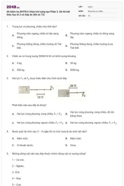 Đề kiểm tra KHTN 6 Chân trời sáng tạo Phần 3. Đề thi kết thúc học kì 2 có đáp án (Đề số 73)