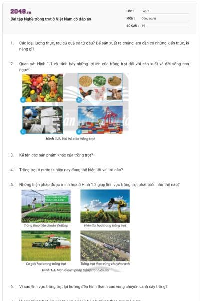 Bài tập Nghề trồng trọt ở Việt Nam có đáp án