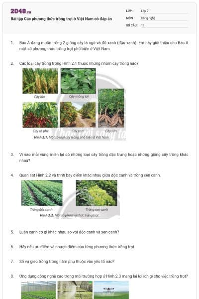 Bài tập Các phương thức trồng trọt ở Việt Nam có đáp án