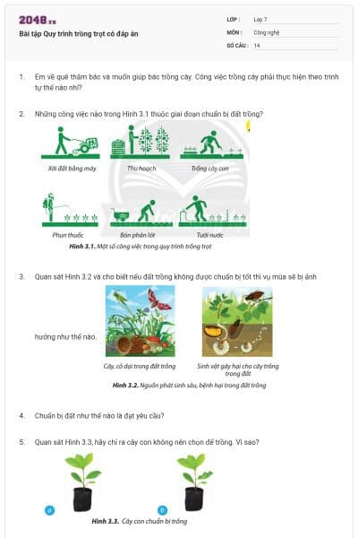 Bài tập Quy trình trồng trọt có đáp án