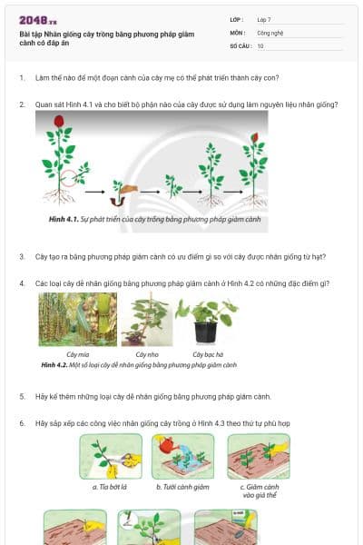 Bài tập Nhân giống cây trồng bằng phương pháp giâm cành có đáp án