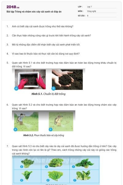 Bài tập Trồng và chăm sóc cây cải xanh có đáp án