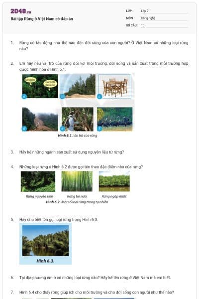 Bài tập Rừng ở Việt Nam có đáp án