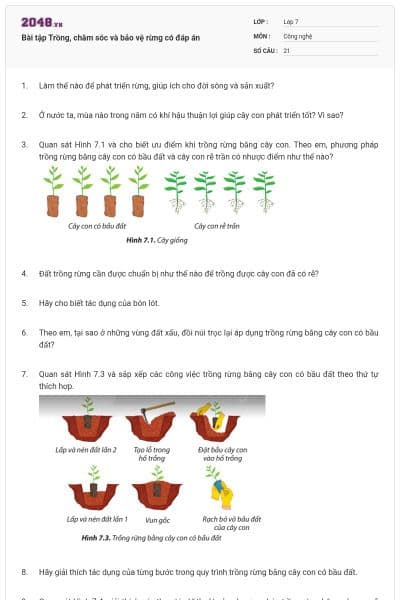 Bài tập Trồng, chăm sóc và bảo vệ rừng có đáp án