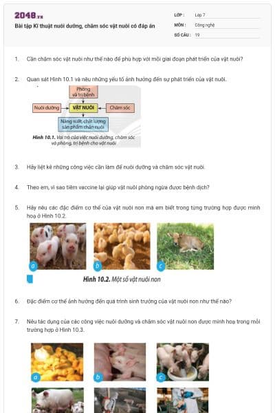 Bài tập Kĩ thuật nuôi dưỡng, chăm sóc vật nuôi có đáp án