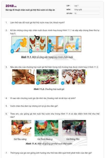 Bài tập Kĩ thuật chăn nuôi gà thịt thả vườn có đáp án