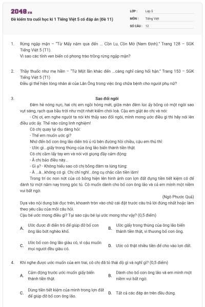 Đề kiểm tra cuối học kì 1 Tiếng Việt 5 có đáp án (Đề 11)