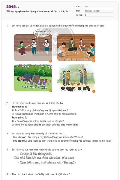 Bài tập Nguyên nhân, hậu quả của tệ nạn xã hội có đáp án