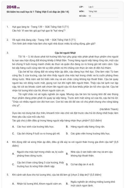 Đề kiểm tra cuối học kì 1 Tiếng Việt 5 có đáp án (Đề 14)