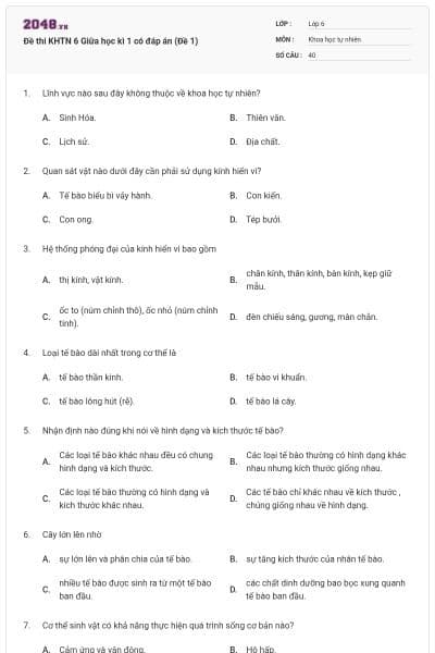 Đề thi KHTN 6 Giữa học kì 1 có đáp án (Đề 1)