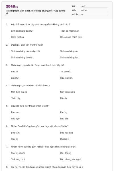 Trắc nghiệm Sinh 6 Bài 39 (có đáp án): Quyết - Cây dương xỉ