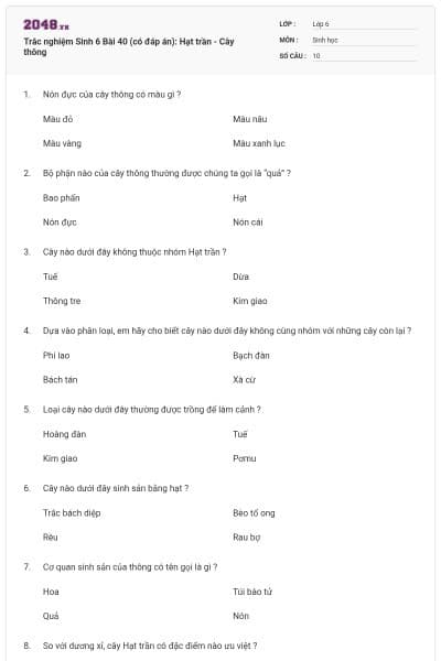 Trắc nghiệm Sinh 6 Bài 40 (có đáp án): Hạt trần - Cây thông