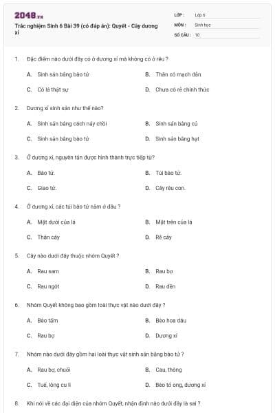 Trắc nghiệm Sinh 6 Bài 39 (có đáp án): Quyết - Cây dương xỉ