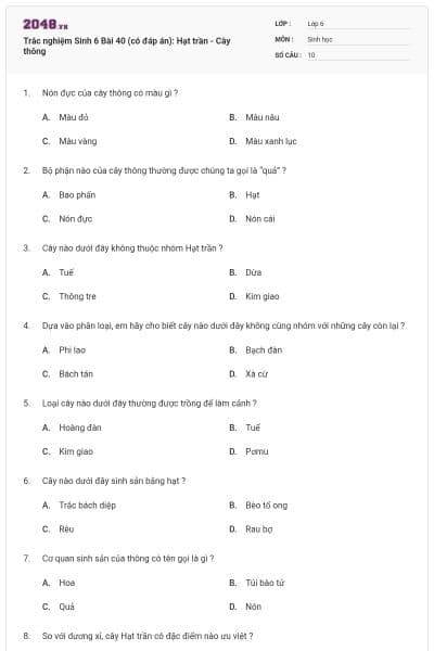 Trắc nghiệm Sinh 6 Bài 40 (có đáp án): Hạt trần - Cây thông
