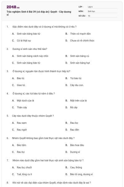 Trắc nghiệm Sinh 6 Bài 39 (có đáp án): Quyết - Cây dương xỉ