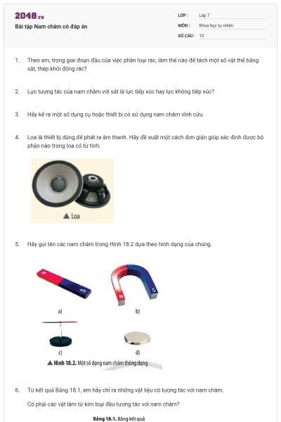 Bài tập Nam châm có đáp án