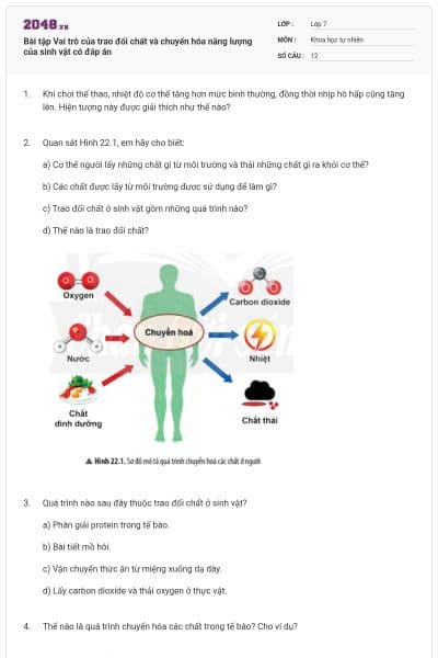 Bài tập Vai trò của trao đổi chất và chuyển hóa năng lượng của sinh vật có đáp án