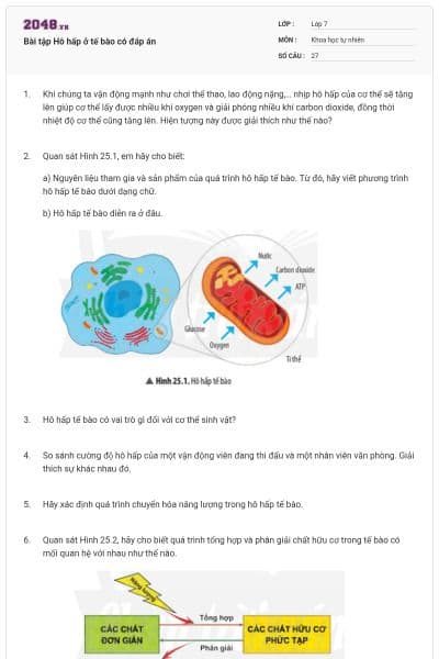 Bài tập Hô hấp ở tế bào có đáp án