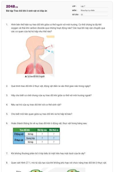 Bài tập Trao đổi khí ở sinh vật có đáp án