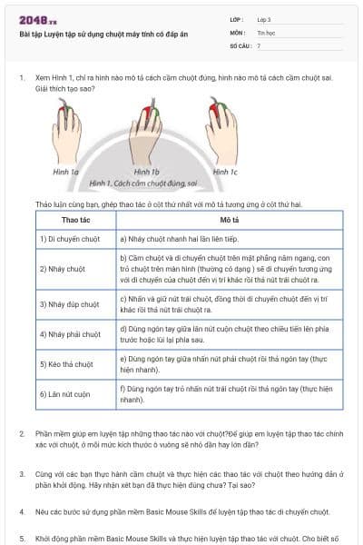 Bài tập Luyện tập sử dụng chuột máy tính có đáp án