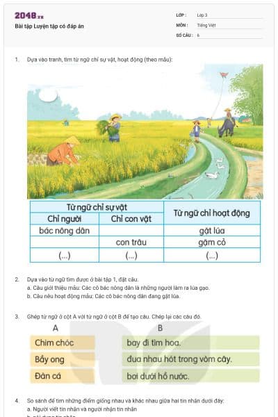 Bài tập Luyện tập có đáp án