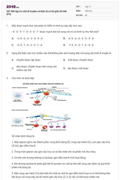541 Bài tập Cơ chế di truyền và biến dị có lời giải chi tiết (P3)