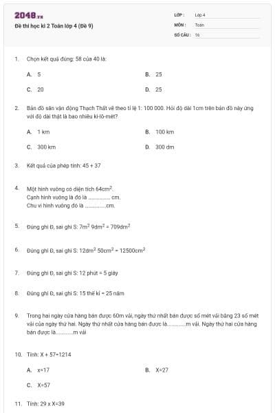 Đề thi học kì 2 Toán lớp 4 (Đề 9)