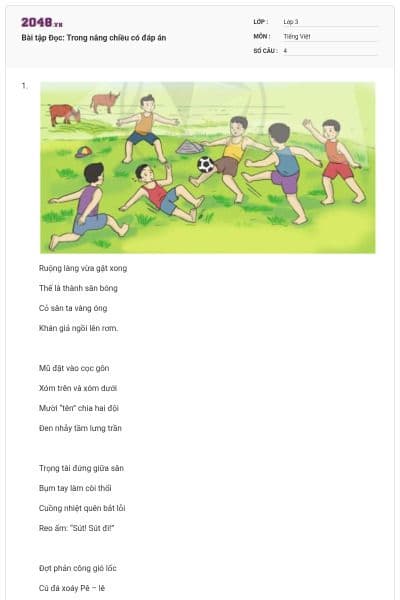 Bài tập Đọc: Trong nắng chiều có đáp án