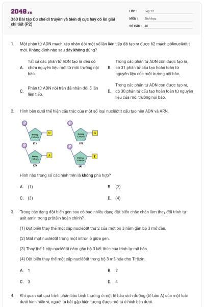 360 Bài tập Cơ chế di truyền và biến dị cực hay có lời giải chi tiết (P2)