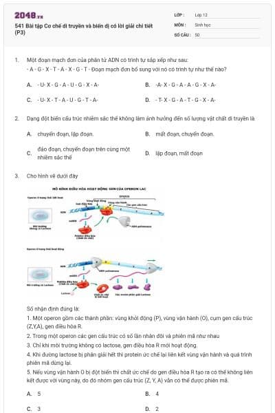 541 Bài tập Cơ chế di truyền và biến dị có lời giải chi tiết (P3)