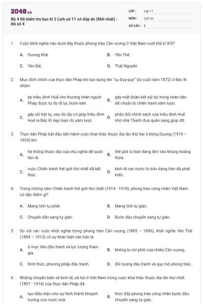 Bộ 4 Đề kiểm tra học kì 2 Lịch sử 11 có đáp án (Mới nhất) - Đề số 4