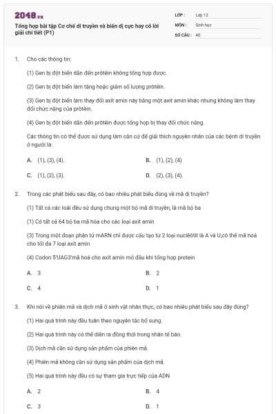 Tổng hợp bài tập Cơ chế di truyền và biến dị cực hay có lời giải chi tiết (P1)