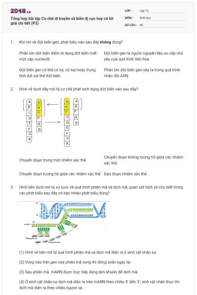 Tổng hợp bài tập Cơ chế di truyền và biến dị cực hay có lời giải chi tiết (P3)