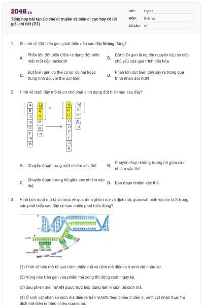 Tổng hợp bài tập Cơ chế di truyền và biến dị cực hay có lời giải chi tiết (P3)