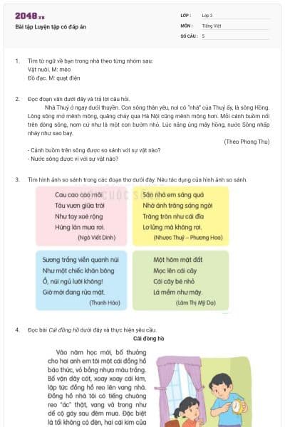 Bài tập Luyện tập có đáp án